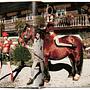 Ellen von Unwerth. Heimat 1