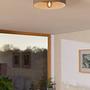 Duaia Ceiling Light Steel 1-light 2