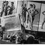 Helmut Newton Berlin, Berlin Mehrsprachig 2