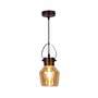 Pendant lamp Alex Glass / Steel 1-bulb 1