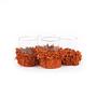 Oh My Gee Candle Holder Velvet Glass 2