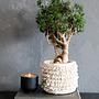 Bondi Candlestick Teak 3
