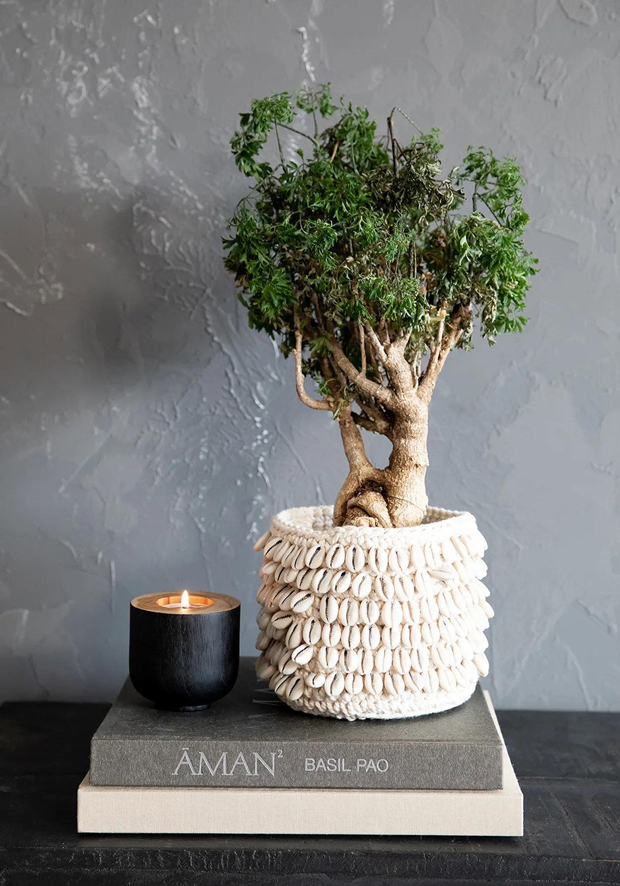Bondi Candlestick Teak 3