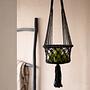 Macrame Plant Hanger Black 2