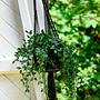 Macrame Plant Hanger Black 4