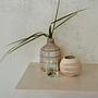 Whoopy Vase Concrete Natural 2