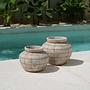 Belly Vase Concrete Nature 1