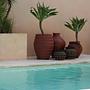 Belly Vase Black 2
