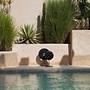 Plate on stand marble black 1