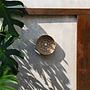 Caribe Shell Plate Beige 1