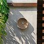 Caribe Shell Piatto Beige 4