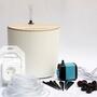 Automatic drip irrigation for plants White 1