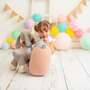 Hedgehog Mini Plush Toy Cotton Pink 7