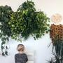 3x Wall planter with self-watering 3