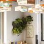 3x Wall planter with self-watering 4
