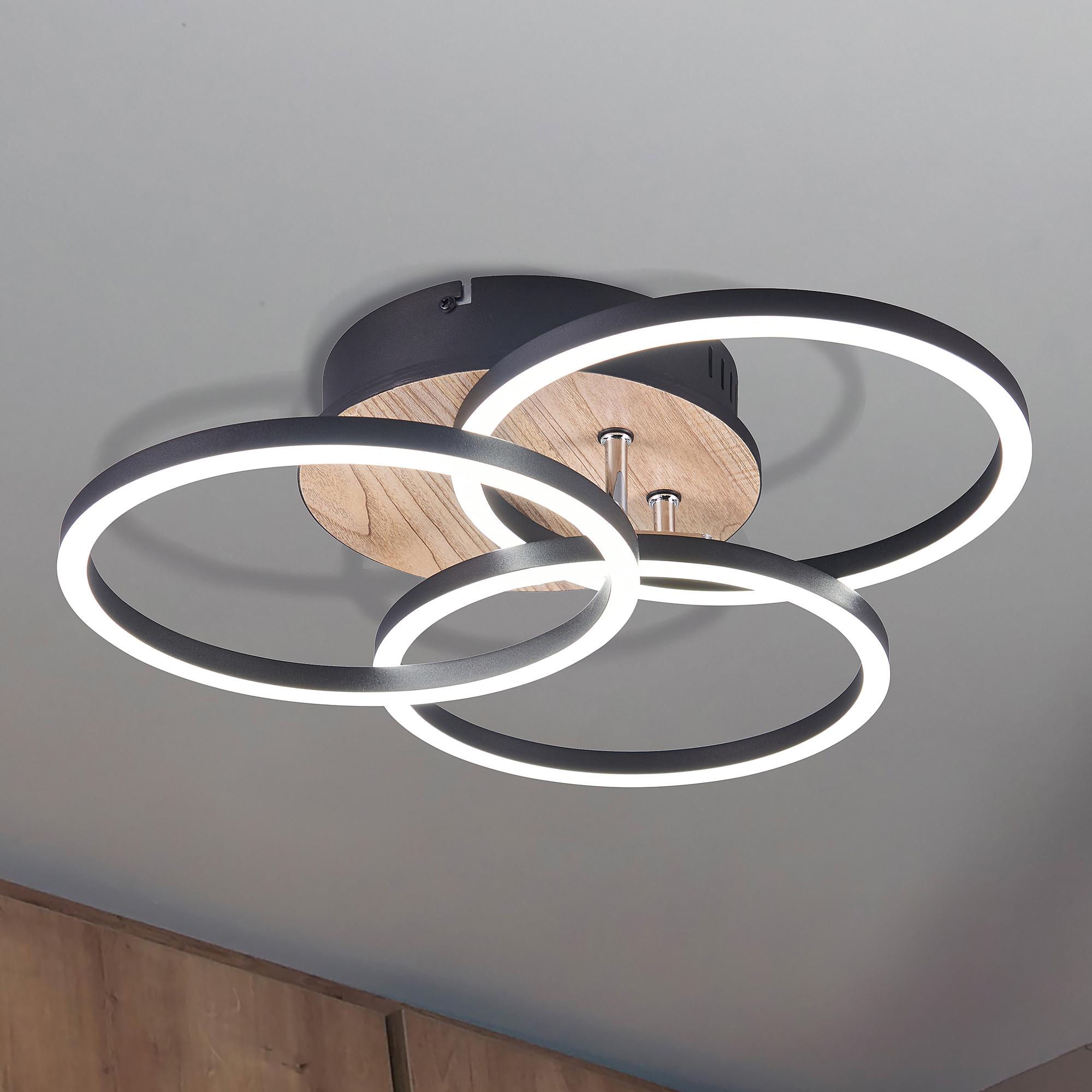 Circle LED Ceiling Light Iron Single-flame 0