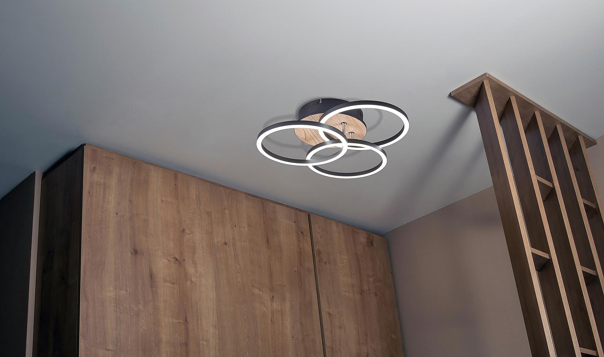 Circle LED Ceiling Light Iron Single-flame 1