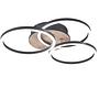 Circle LED Ceiling Light Iron Single-flame 3