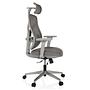 CASSILIS W Office chair Mesh fabric Grey 6