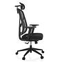 B?rostuhl / Drehstuhl RALOO ECO Sitz Stoff / R?cken Netzstoff schwarz hjh OFFICE 6