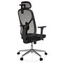Office chair / Swivel chair RALOO PRO Seat fabric / Back mesh black hjh OFFICE 8