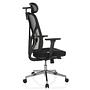 Office chair / Swivel chair RALOO PRO Seat fabric / Back mesh black hjh OFFICE 7