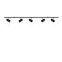 Swan Ceiling Light 5-Light Black 0