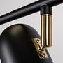 Swan Ceiling Light 5-Light Black 4