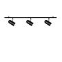 Swan Ceiling Light 3-Light Black 0