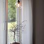 Mini pendant lamp Transparent Ø 15cm 3