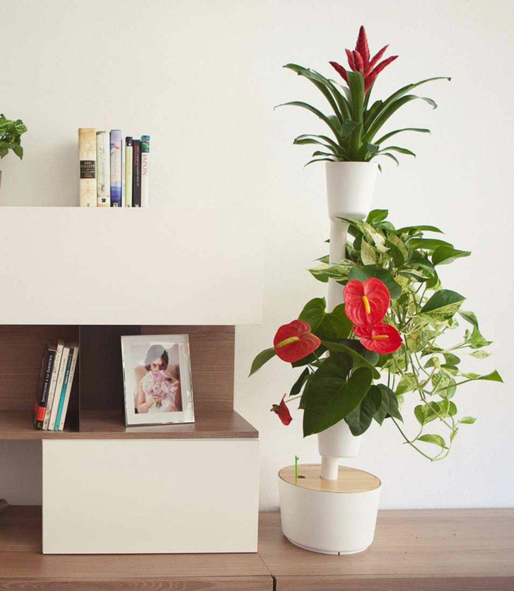 Design Award: Pine Wood White Plant System 4