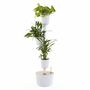 Design Award: Pine Wood White Plant System 0