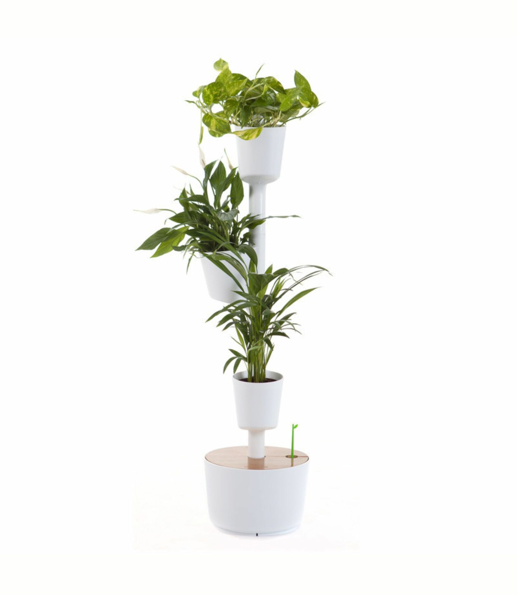 Design Award: Pine Wood White Plant System 0