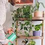 Modular plant stand with 8 shelves Brown 2