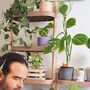 Modular plant stand with 8 shelves Brown 3