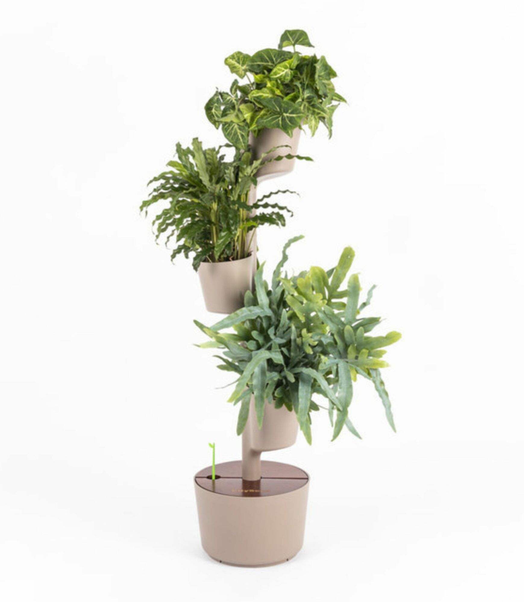 Design Award: Plant system Teak wood Autom. Irrigation 1