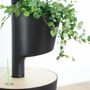 Design Award: Pine Wood Black Planting System 2