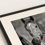 Wild Horses Art Print with Frame Black and White 2