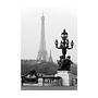 Alexandre III Bridge Art Print with Frame Black White 1