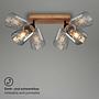 Meidelo Wall Light 2-Bulb Aluminum Smoked Glass Black 4