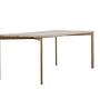 Damon Esstisch MDF Furnier Whitewash 200×90cm 4