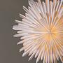 Sälen Pendant Lamp Paper White Ø60cm 6