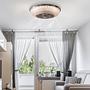 1-Light Viento LED Ceiling Light Acrylic Glass Iron  2