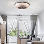 1-Flammig Viento LED-Deckenleuchte Acrylglas Eisen  3