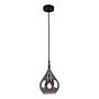 1-Light Gota Type C Pendant Light Smoked Glass Iron 0