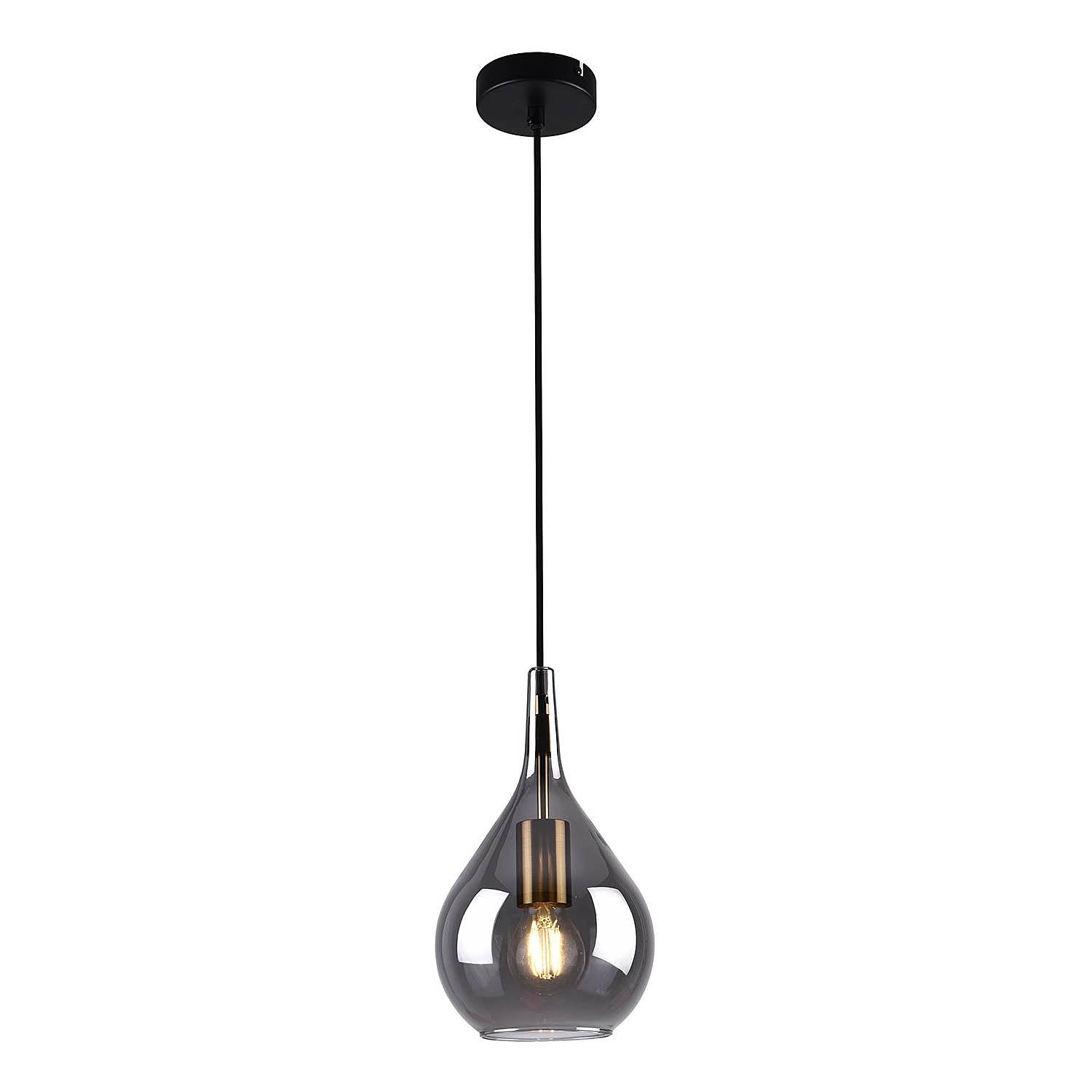 1-Light Gota Type C Pendant Light Smoked Glass Iron 0
