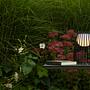 Fjara Table Lamp Battery Iron Black 4