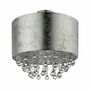 Deckenleuchte 1-flammig Glas Eisen Silber 0
