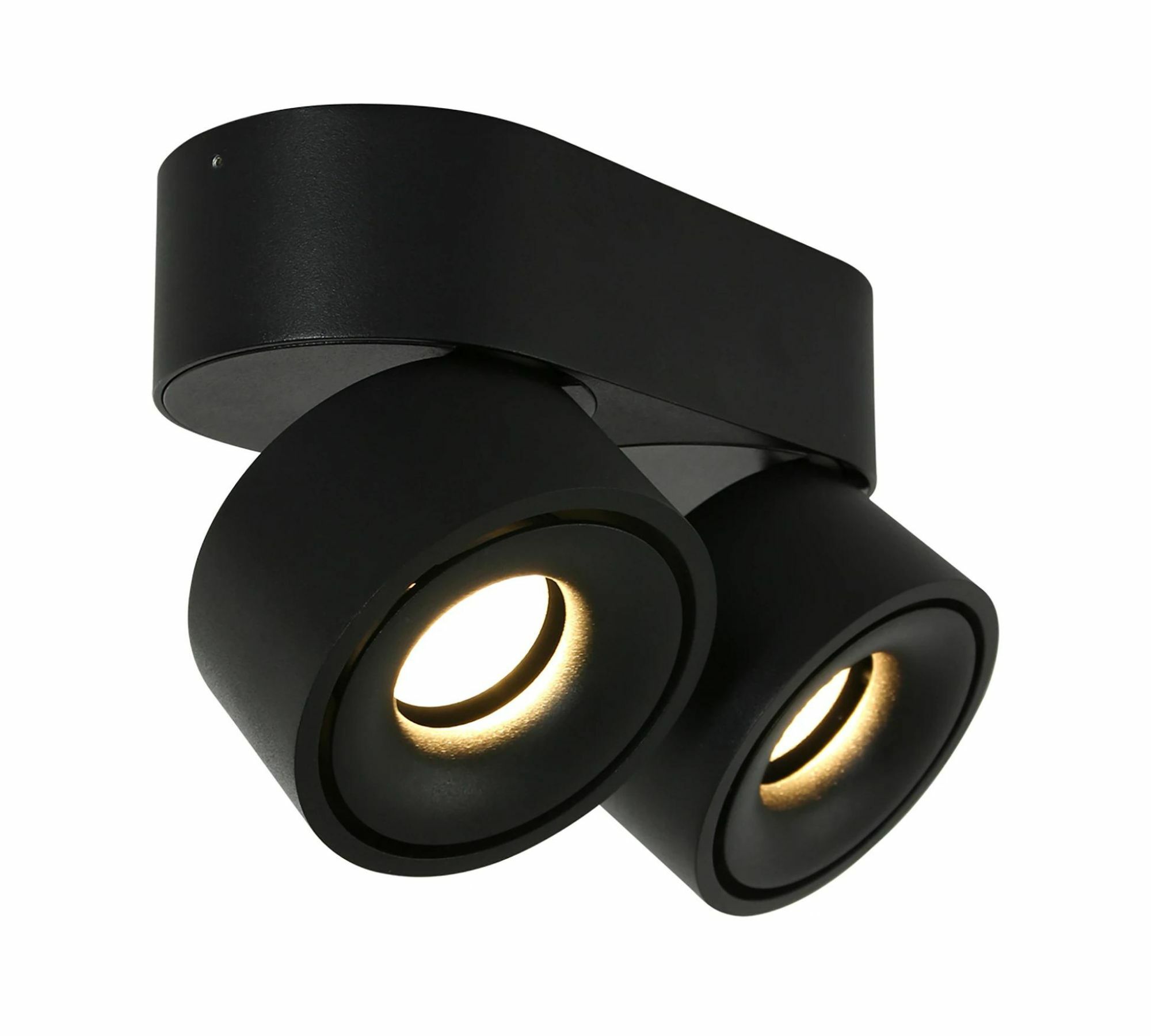 LED Deckenleuchte 2-flammig Eisen Schwarz 4