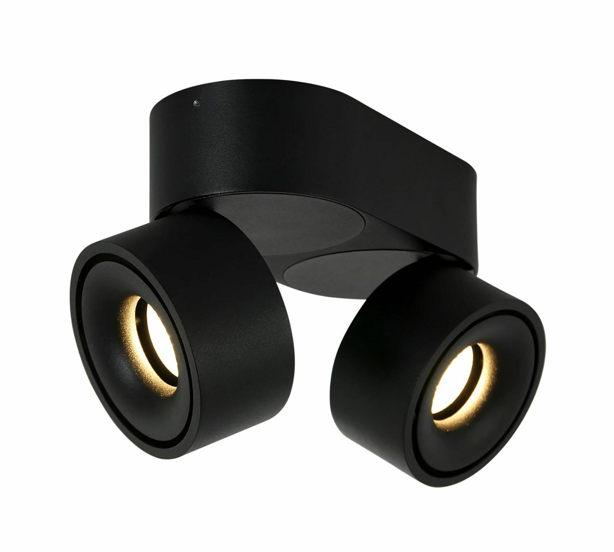 LED Ceiling Light 2-light Iron Black 0